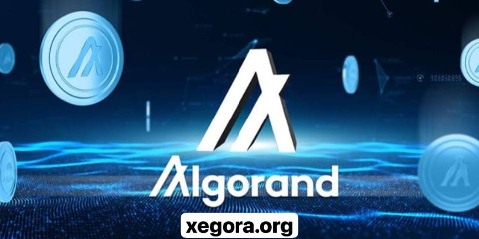 معرفی ارز دیجیتال Algo